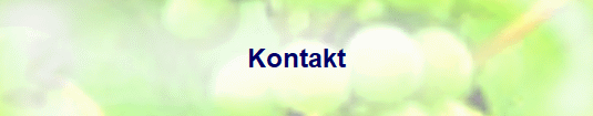 Kontakt